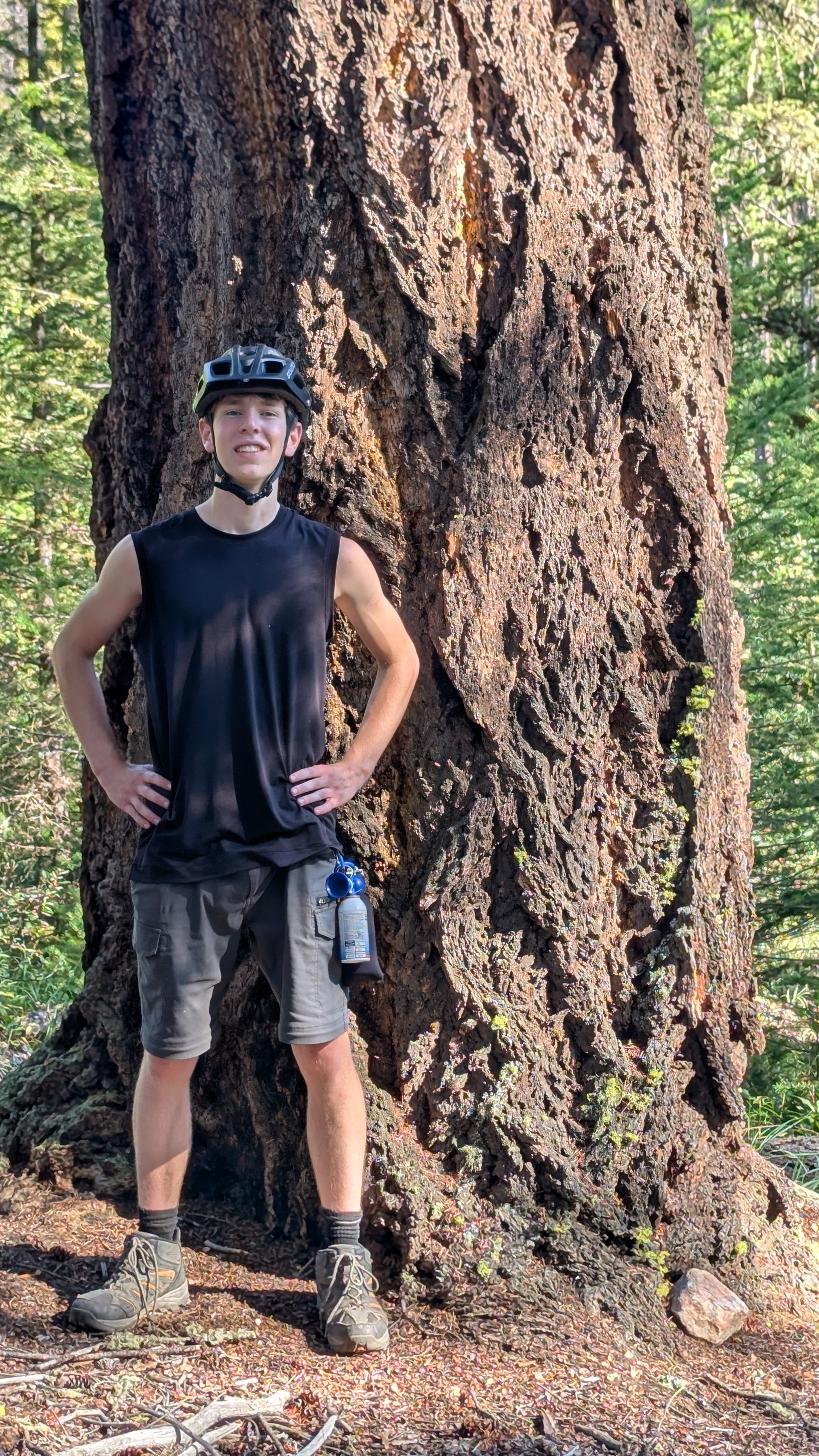 Josh Kirsch beside the trunk of a large Alberta tree.