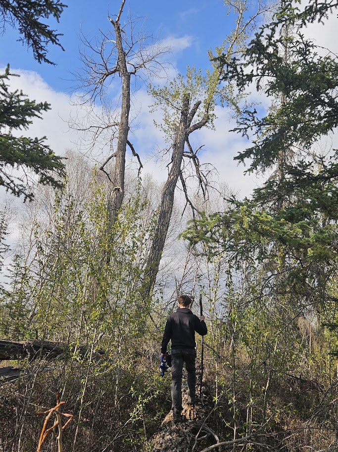 Josh Kirsch sitting on a log in the Porcupine Hills.