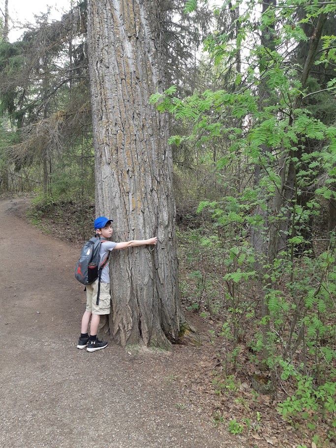 Young Josh Kirsch outdoors during the early years of his tree studies.